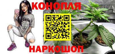 гашиш Кимры