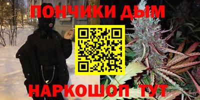 СК Кингисепп