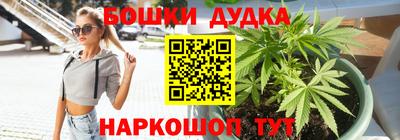 СК Кингисепп