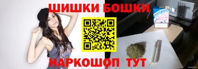 СК Кингисепп