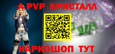 СК Кингисепп
