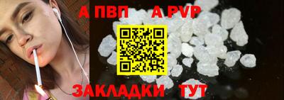 СК Кингисепп