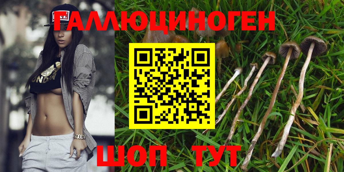 Галлюциногенные грибы Psilocybe  Псилоцибиновые грибы ЛСД  Мичуринск  Вход с VPN 